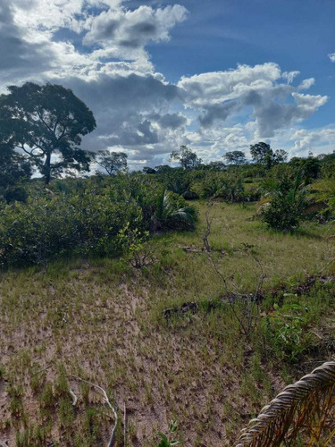 Imagem 4 de 14 de Sitio Chapadao Do Ceu 80 Alqueires Valor 6.500.000