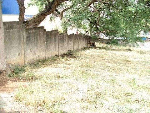 Imagem 1 de 5 de Terreno À Venda No Jardim Europa - Sorocaba/sp - Tr03095 - 4459072