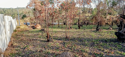 Imagem 5 de 6 de Atibaia Sp Terreno 638 M² Doc. Ok Ac/veículos Lp0096