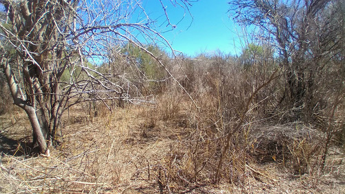 Villa De Soto Campo De 45 Has En Paraje Las Cañadas