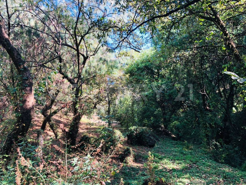 Terreno Venta Cocuatla Tepoztlan San Juan Tlacotenco Ocotes Tepoztlan Morelos