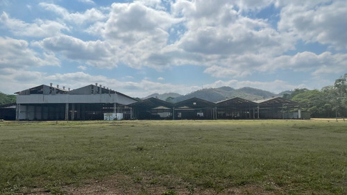 Terreno Plano En Venta San Francisco De Yare 100.817m²,jg