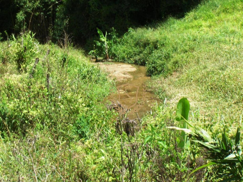 Fazenda À Venda, 968000 M² Por R$ 1.900.000,00 - Posse - Teresópolis/rj - Fa0004