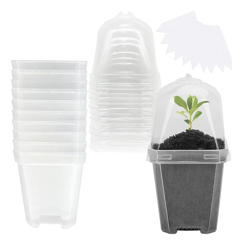 ~? Ebaokuup 10pcs Macetas De Vivero De Plantas Claras Con Cú