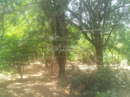 Imagem 11 de 15 de Chácara À Venda Em Macuco - Ch001594