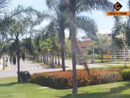 Imagem 6 de 15 de Lote No Alphaville Litoral Norte I - Te00395 - 68970626