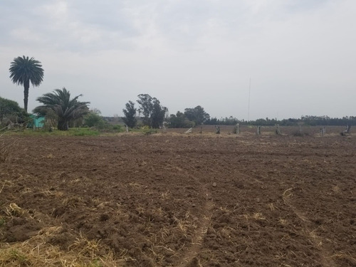 Imagen 12 de 14 de Venta Chacra San Fuentes 3692, 3 Hectáreas!!!