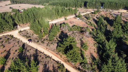 Parcela En Venta En Pichilemu