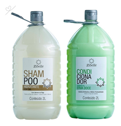 Kit Shampoo Sem Sal + Condi Erva Doce 2l Brilho Intenso