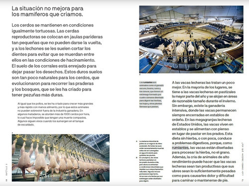 Deberíamos Ser Todos Veganos?, De Molly Watson / Matthew Taylor. Editorial Blume, Tapa Blanda En Español, 2020