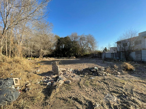 Imagen 5 de 12 de Terreno - Arguello