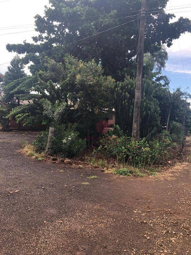 Imagem 15 de 24 de Chácara Com 3 Dormitórios À Venda, 10000 M² Por R$ 1.200.000,00 - Marialva - Marialva/pr - Ch0007