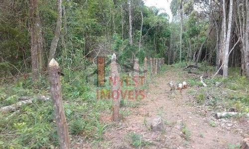 Imagem 2 de 4 de Terreno - Ref: 2940 - V-2940