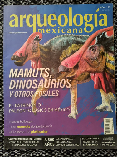 Arqueología Mexicana Mamuts Dinosaurios Y Otros Fósiles