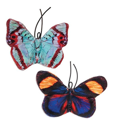 Jackson Galaxy 32443 Moscas Arrugadas Mariposa Para Gatos P