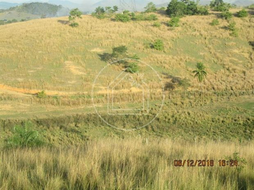 Imagem 11 de 12 de Terreno - Ref: 828091