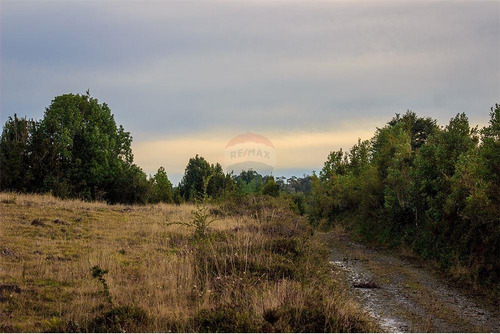 Imagen 6 de 30 de Hermosa Parcela Cercana A Linao Chiloe