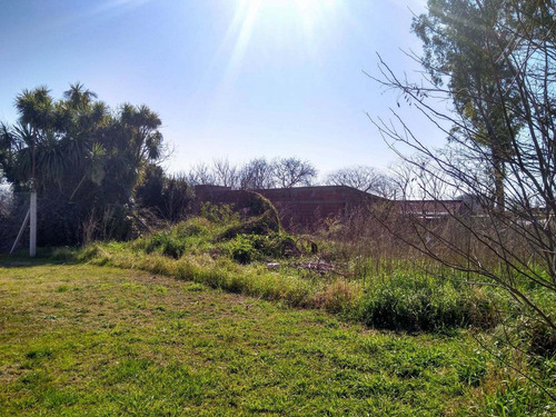 Imagen 2 de 3 de Terreno En Venta En Balcarce