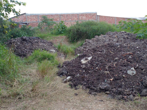 Imagem 9 de 10 de Terreno Para Venda Em Piraquara, Parque Das Araucárias - 3375_1-2413913