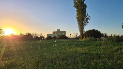 Imagen 2 de 8 de Terreno En Venta En Puerto Chascomus