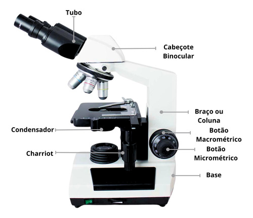 Super Microscópio Binocular 1600x C/ Kit 5 Filtros Ópticos