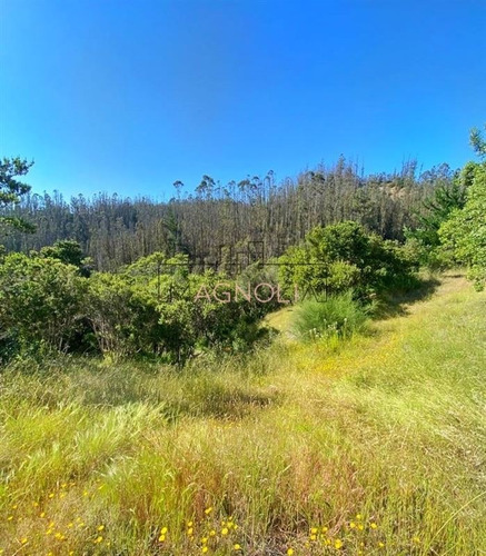Imagen 1 de 20 de Sitio En Venta En Condominio, Puertecillo, Navidad