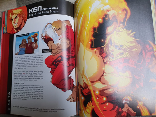 Street Fighter World Warrior Encyclopedia Artbook Udon