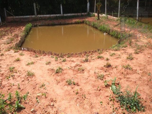 Imagem 4 de 13 de Cód 3271 - Lindo Terreno Plano Com Lago - 3271