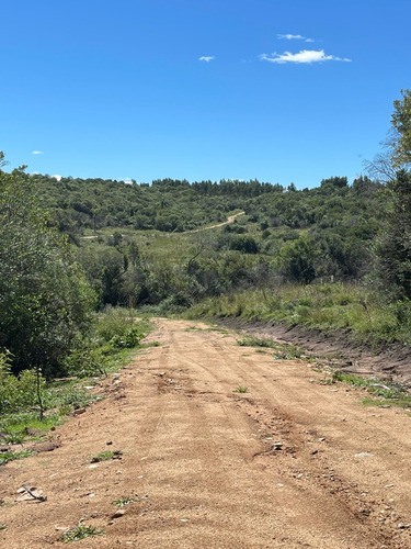 Chacra De 5 Hecteras Con Arroyo Propio
