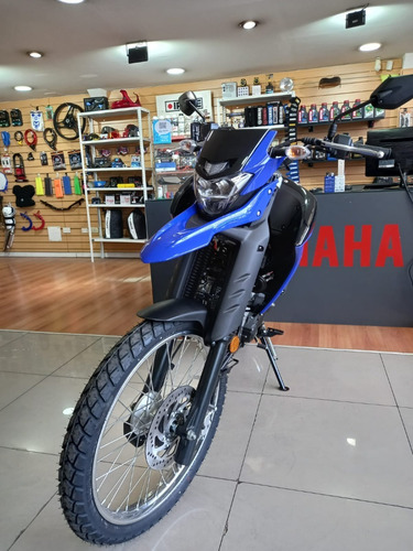 Imagen 9 de 17 de Yamaha Xtz 250 0km Tamburrino Motos Entrega Inmediata