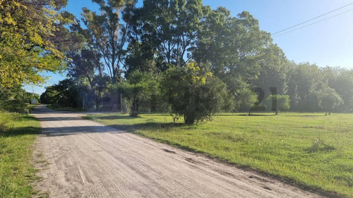 Fraccion Con Monte A La Venta En Magdalena