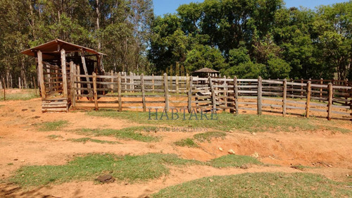 Imagem 7 de 15 de Fazenda Para Venda Em Ouro Fino, Centro - Fazenda 0_1-2237059