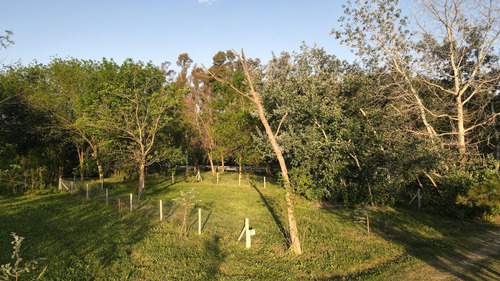 Terreno En Moreno