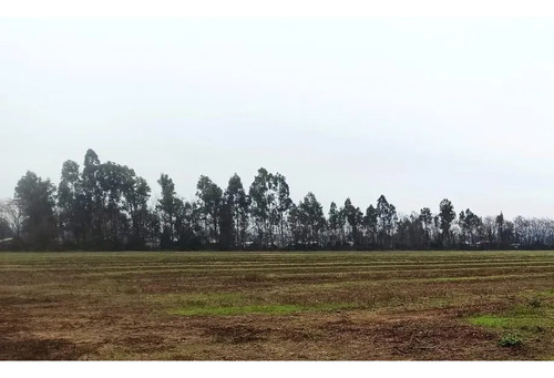 Terreno Agrícola En Venta, Campo De 16,4 Ha, San Clemente