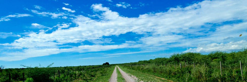 Campo - Santiago Del Estero