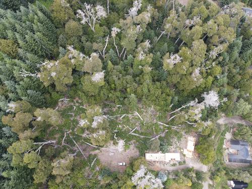 Venta Lote Con Proyecto Aprobado Para 10 Casas. Vista Al Lago Nahuel. Posible Ph O Uso Turístico. Villa La Angostura