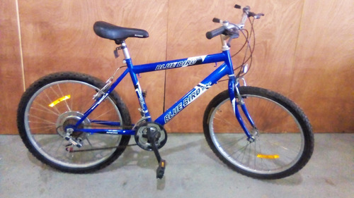 Bicicleta Blue Bird Rin 24