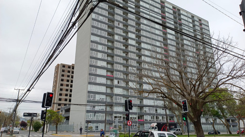 Arriendo Departamento 2 Dormitorios M.rodriguez 140 Concep