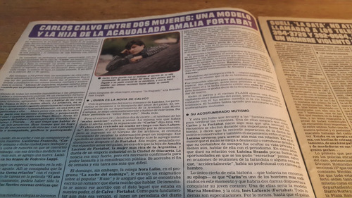 Revista Flash N° 379 1987 Susana Gimenez Ricardo Darin (Usado)