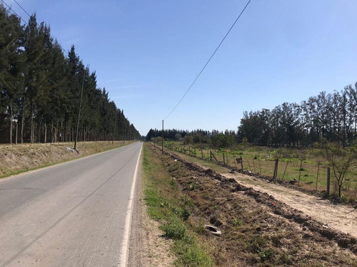 Imagen 1 de 8 de Terreno - Lote - Venta - Benavidez - Villanueva - Nordelta