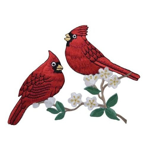 Pareja De Cardenales Masculinos Sobre Rama, Diseño De Pájaro