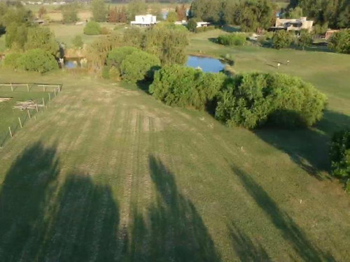 Imagen 6 de 6 de Terreno - Estancias Del Pilar