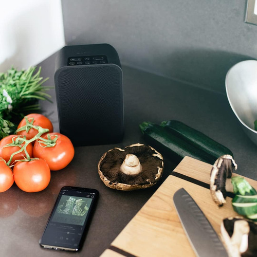 Bluesound Pulse Flex 2i Altavoz Inteligente Portátil Inalámb