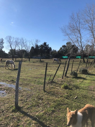 Imagen 5 de 17 de Quinta En Venta En Florencio Varela