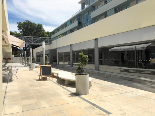Imagen 3 de 9 de Excelente Local Comercial En Zona Céntrica - Eds 3 L13 Campiglia