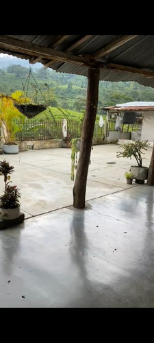 Excelente Finca En Chiguara Mérida