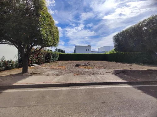 Lote En Venta En Bocono. Cod V28250