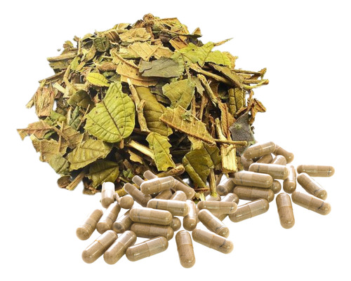 Canela D Velho Caps, Artrosis Artritis Reumatoide Tendinitis