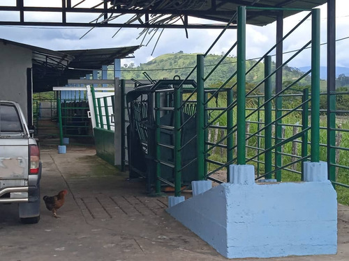 Imagen 6 de 9 de Lic Lino M. Juvinao Vende Finca En San Cristobal