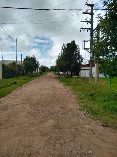 Imagen 6 de 7 de 153 Y 49 Lote 210 M2